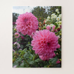 Pink Dahlias Jigsaw Puzzle