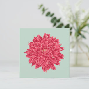 Pink Dahlie