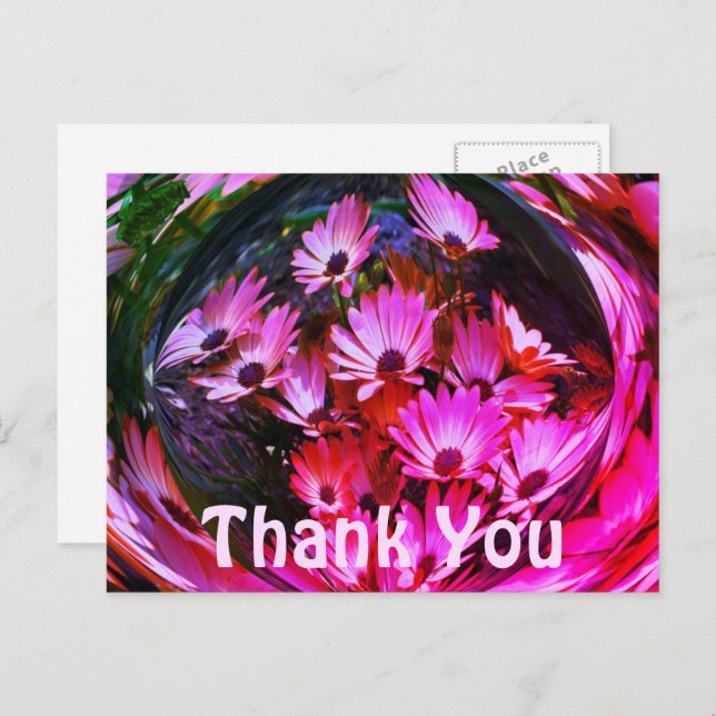 Pink Daisies Abstract Floral Thank You Postcard (Front/Back)