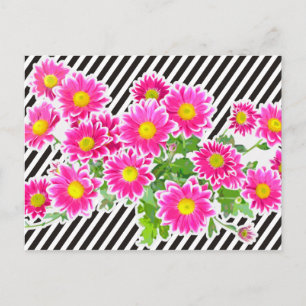 Pink Daisies / Asters Bouquet & Strips + your idea Postcard