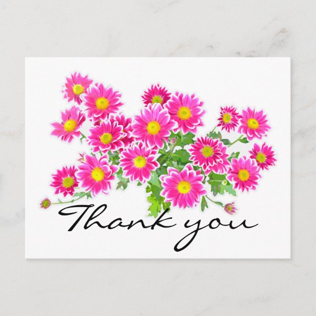 Pink Daisies / Asters Bouquet + your ideas Postcard (Front)