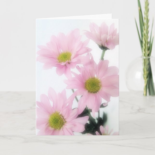 Pink Daisies Card (Front)