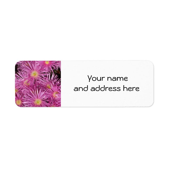 Pink Daisies Return Address Labels (Front)