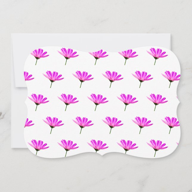 Pink Daisy  (Front)