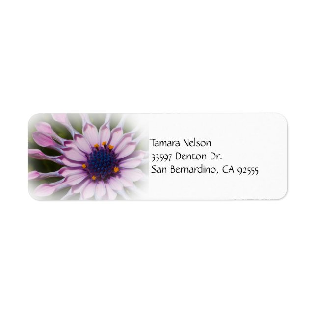Pink Daisy Address Label (Front)