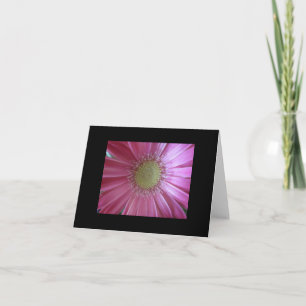 Pink Daisy Beauty Card