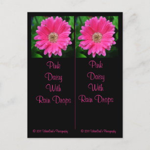 Pink Daisy Bookmark Postcard