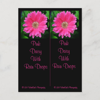 Pink Daisy Bookmark Postcard