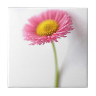 Pink Daisy Ceramic Tile