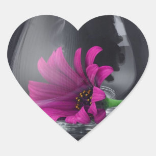 Pink Daisy Closeup In A Wine Glass Heart Sticker