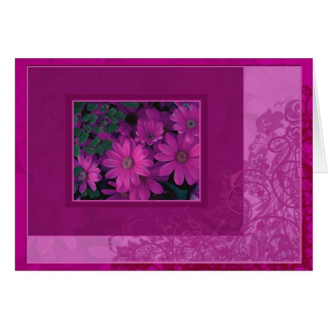 Pink Daisy Floral Lace (Front Horizontal)