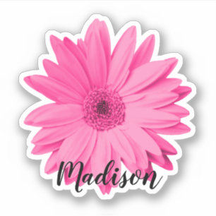Pink Daisy Flower Name