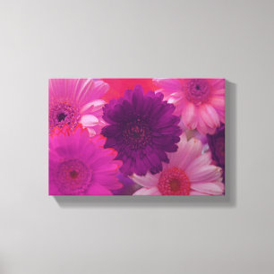 Pink Daisy Flower Photo Canvas Wall Art Print