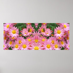 Pink Daisy Flowers And Bumble Bee Mirror Abstract Poster