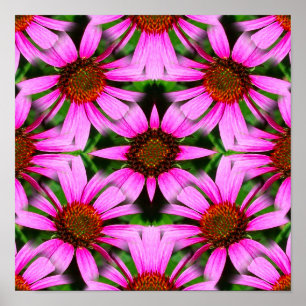 Pink Daisy Flowers Mirror Abstract  Poster