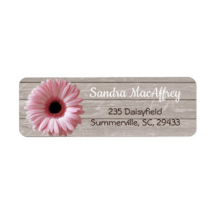 Pink daisy gerbera on light wood