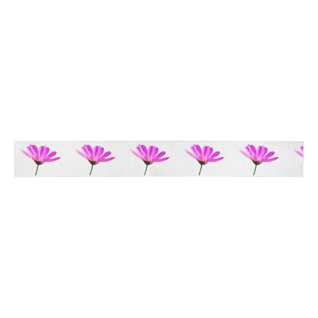 Pink Daisy   Grosgrain Ribbon (Front)