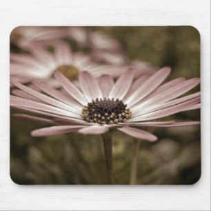 Pink Daisy macro Mouse Mat