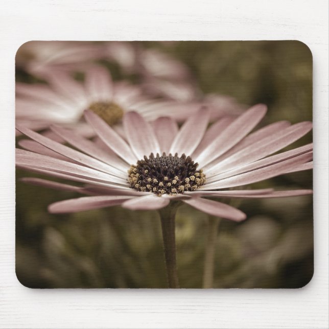 Pink Daisy macro Mouse Mat (Front)