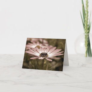 Pink Daisy Macro Notecard