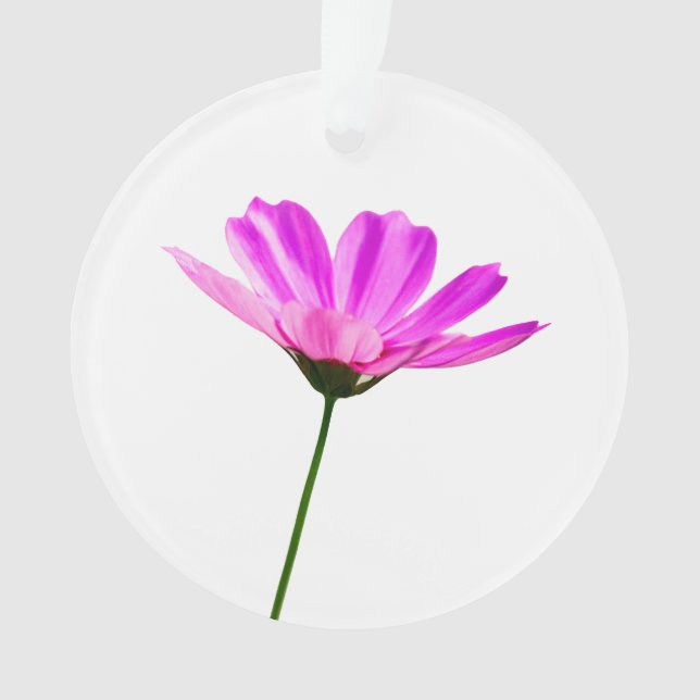 Pink Daisy  Ornament (Front)
