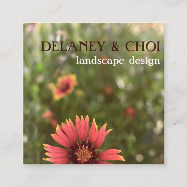 Pink Daisy Photo Landscaper Garden Wildflower Square Business Card (Front)