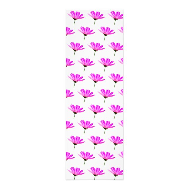 Pink Daisy  Photo Print (Front)