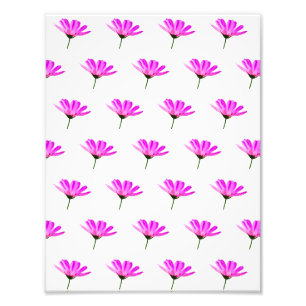 Pink Daisy Photo Print