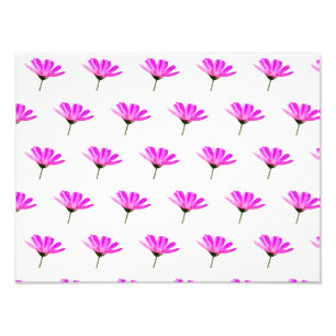 Pink Daisy  Photo Print
