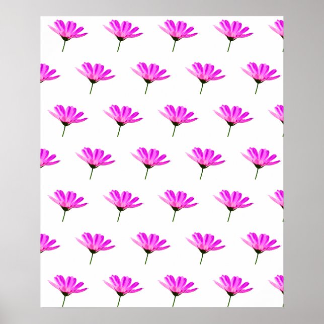 Pink Daisy  Poster (Front)