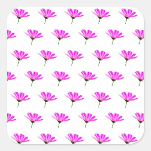 Pink Daisy Square Sticker