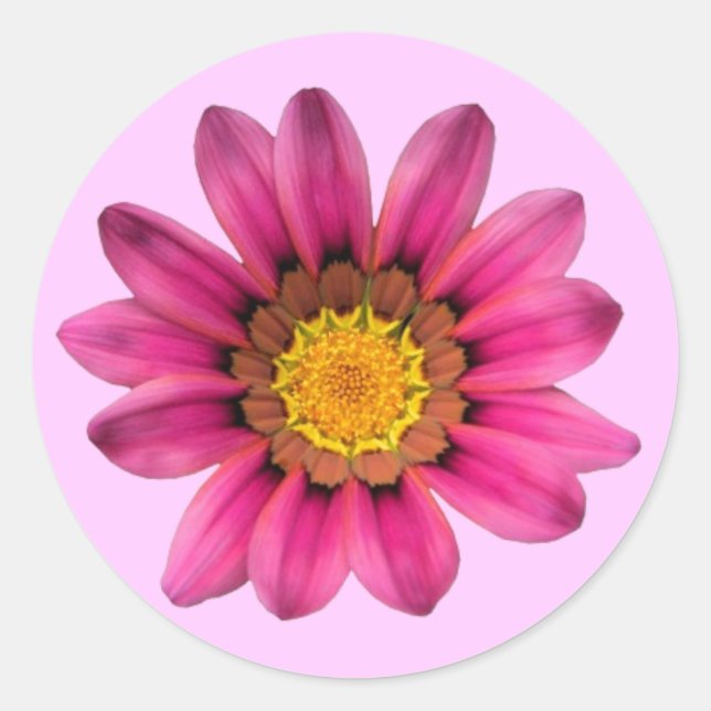 Pink Daisy Sticker (Front)