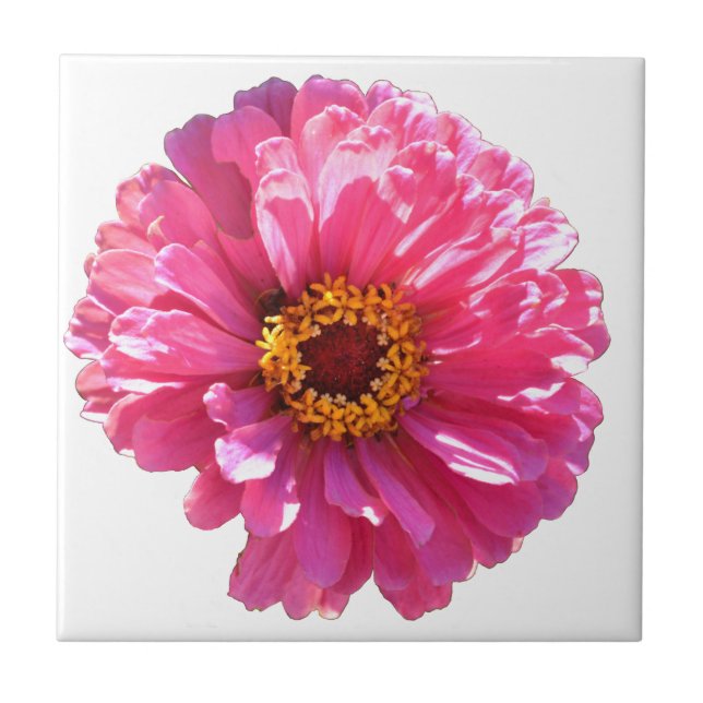Pink Daisy Tile (Front)