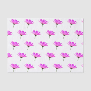 Pink Daisy Tissue Paper