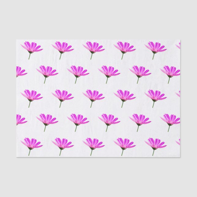 Pink Daisy  Tissue Paper (Front)