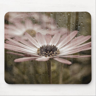 pink daisy with rain on window mouse mat