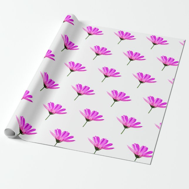 Pink Daisy  Wrapping Paper (Unrolled)