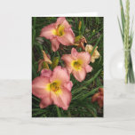 Pink Daylilies - Sister Birthday Card<br><div class="desc">This birthday card features a photograph of beautiful pink and yellow daylilies by Jayne Wilson. The photograph has been treated with a water colour filter in Photoshop Elements,  giving it a painterly feel.  The greeting inside reads: "A perfect sister I am not,  but thankful for the one I've got.”</div>