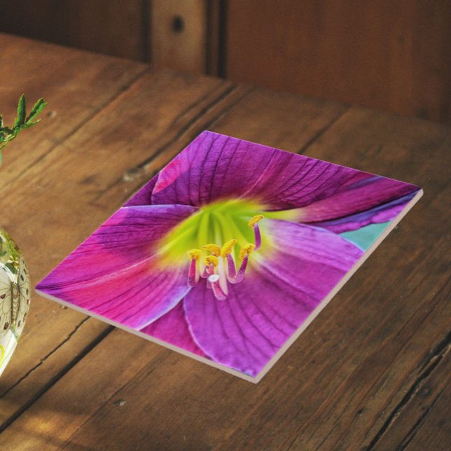 Pink Daylily Bloom Floral Tile (In Situ)