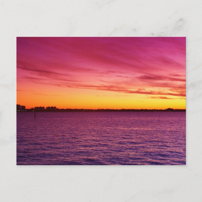 Pink Delite Postcard (Front)