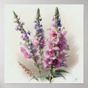 Pink Delphinium Flower Art Print Poster