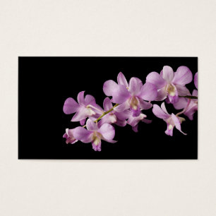 Pink Dendrobium Orchid Flower on Black - Orchids