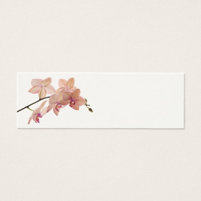 Pink Dendrobium Orchid Flower - Orchids Template (Front)