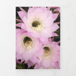 Pink desert petals Tri-Fold card