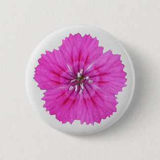 Pink Dianthus Button