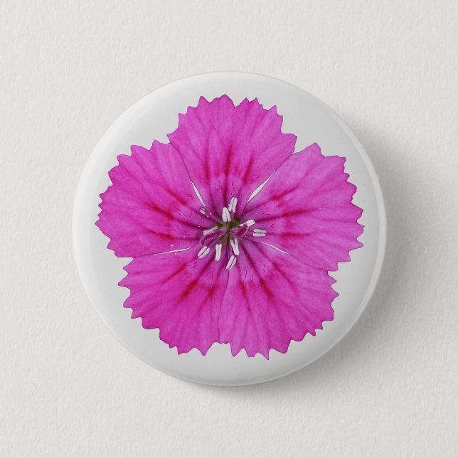 Pink Dianthus Button (Front)