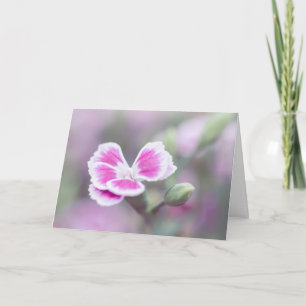 Pink Dianthus Flower Note Card