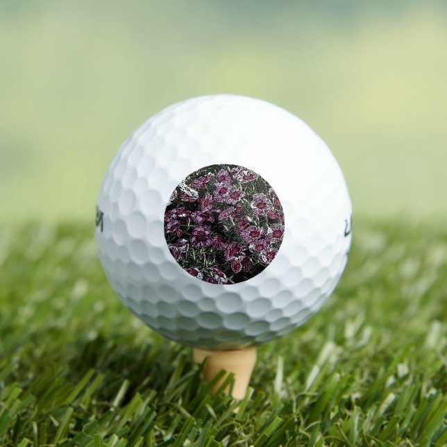 PINK DIANTHUS FLOWERS GOLF BALLS (Insitu Tee)