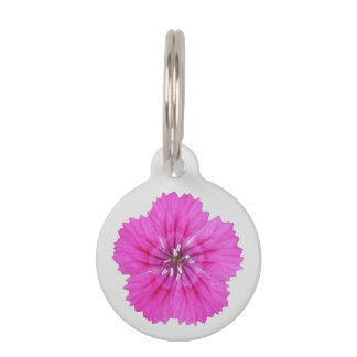 Pink Dianthus Pet Tag
