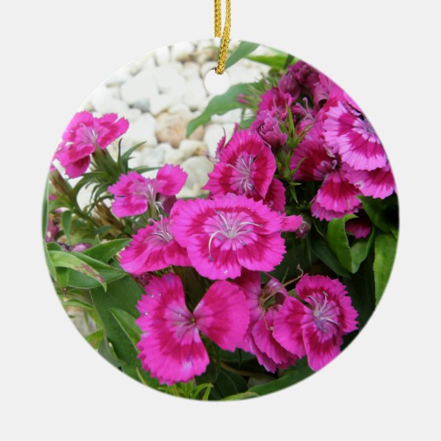 Pink Dianthus/Sweet William Ceramic Tree Decoration (Front)